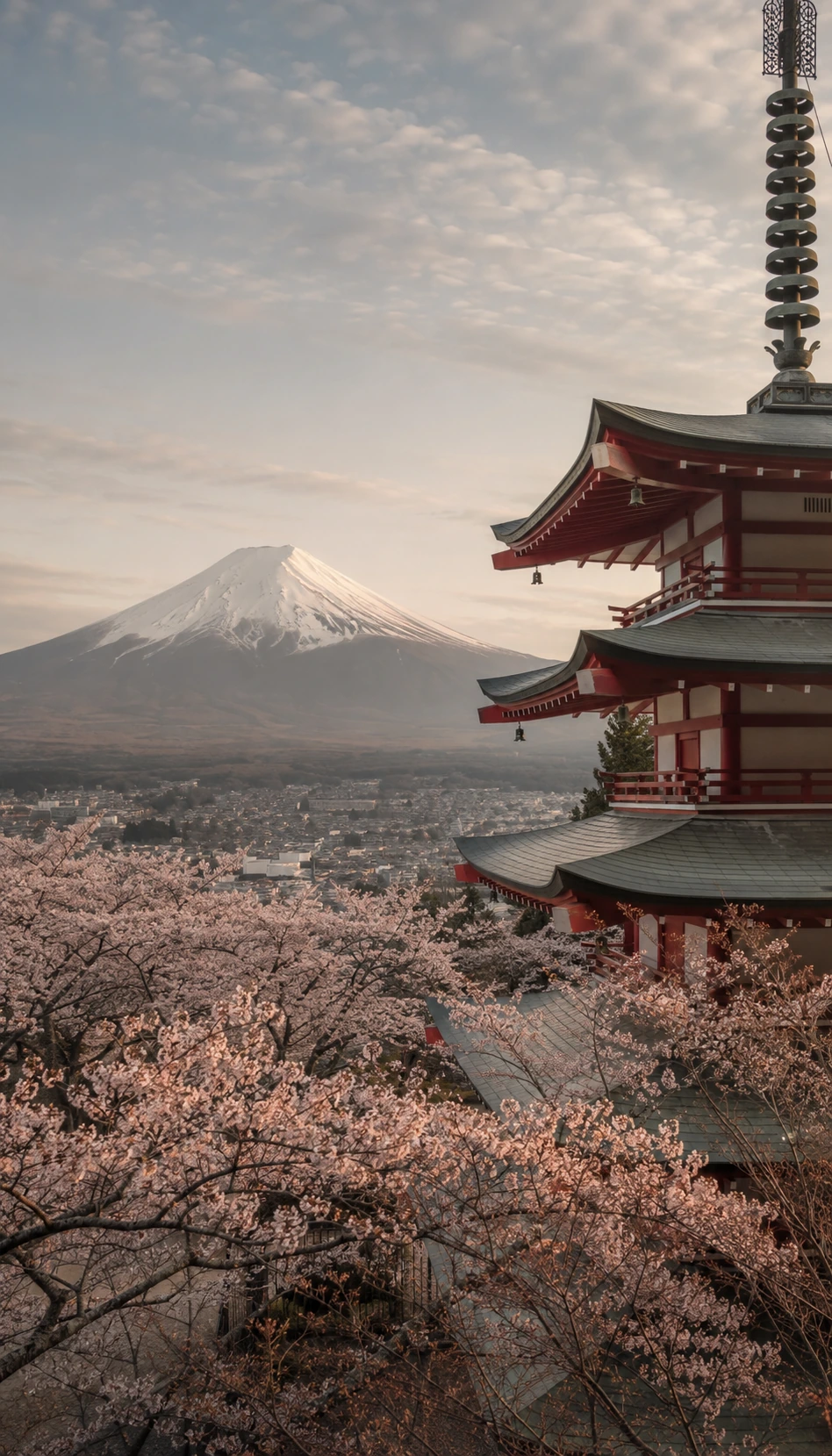 Giappone: monte Fuji e pagoda tra i ciliegi